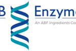 AB Enzymes