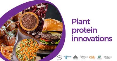 Plant protein innovations across the Group