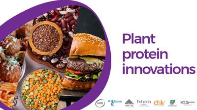 Plant protein innovations across the Group