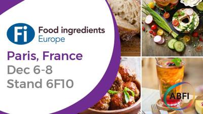 Fi Europe